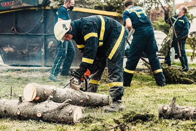 People working together to cut down a tree